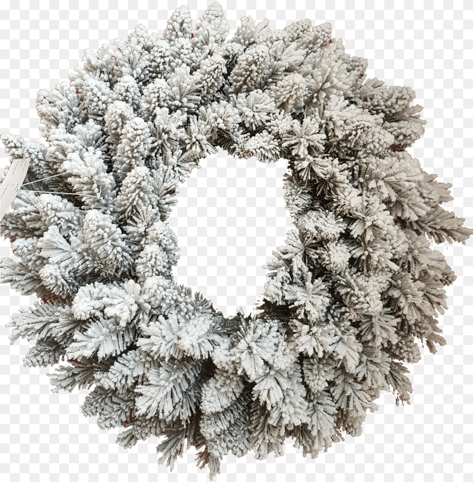 Jr Prince Flock Wreath King Of Christmas 36quot Pre Lit Jr Prince Flock Wreath, Plant Png Image