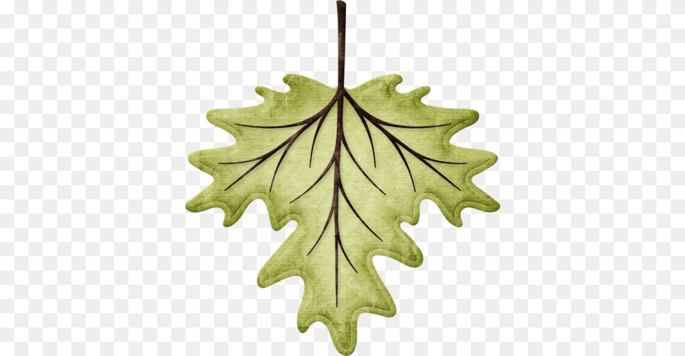 Jss Almostfall Leaf 17 Clip Art, Tree, Plant, Maple, Oak Free Png Download