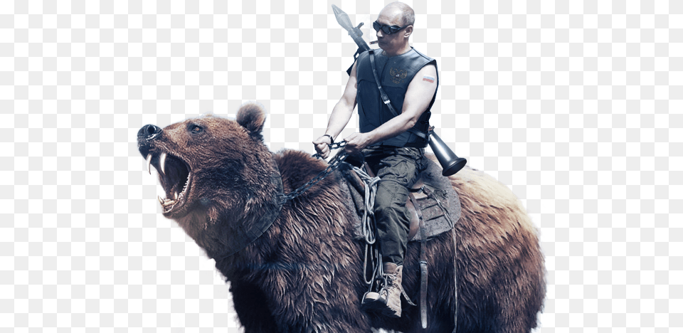 Jstq Putin Riding A Bear With Guns, Animal, Mammal, Wildlife, Adult Png Image