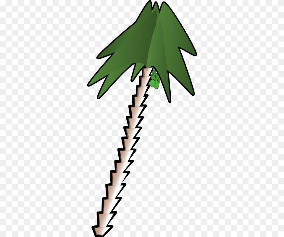 Juanfilpo Leaning Palm Tree, Green, Leaf, Plant Png