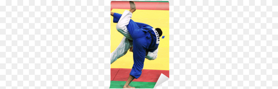 Judo, Adult, Male, Man, Martial Arts Free Png