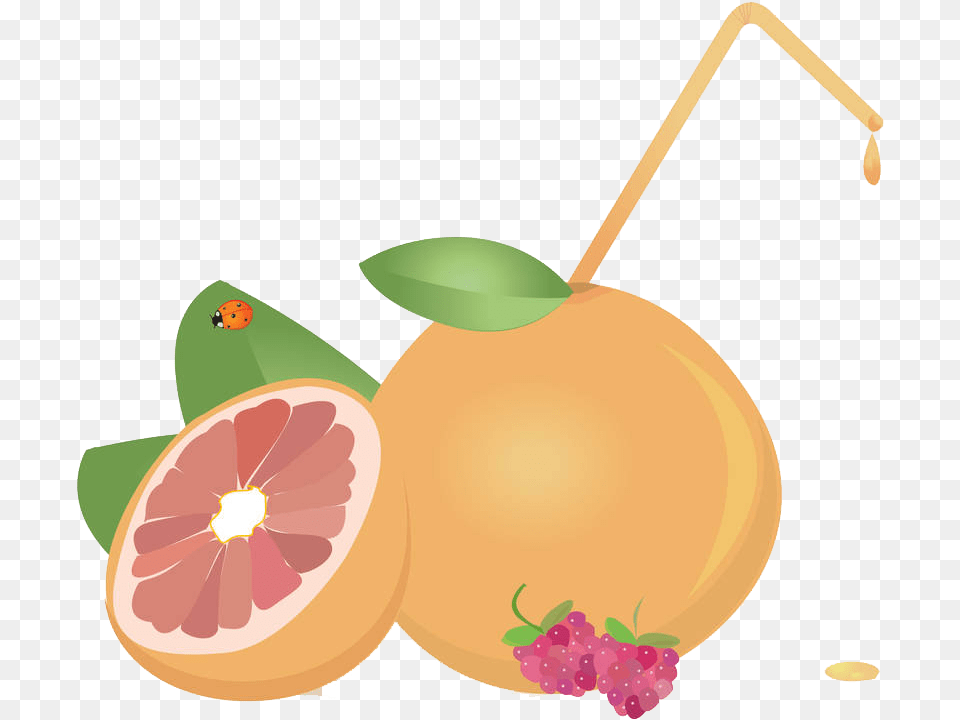 Juice Grapefruit Euclidean Vector Tangerine, Citrus Fruit, Food, Fruit, Plant Png