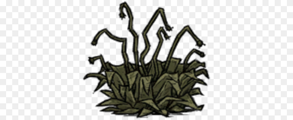 Juicy Berry Bush Withered Juicy Berry Bush Don T Starve Together, Grass, Plant, Art, Vegetation Png