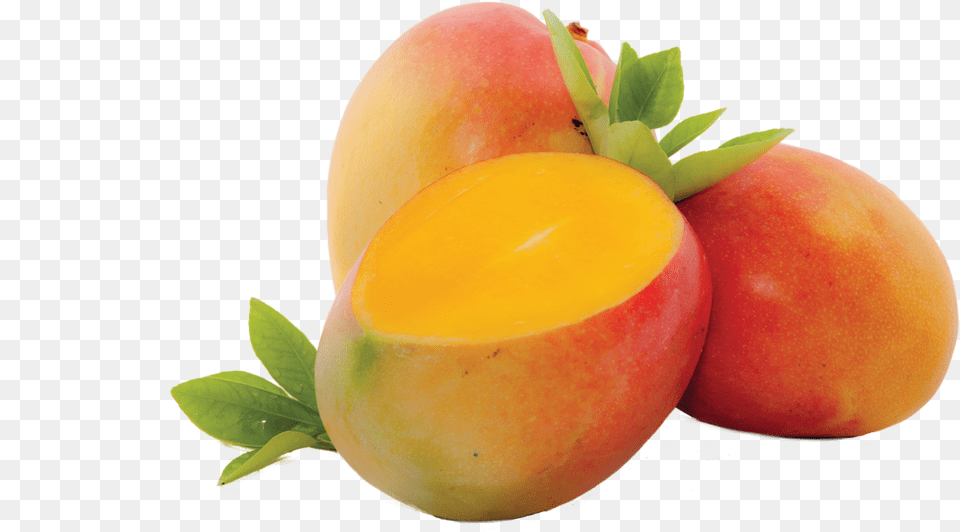 Juicy Mango Images Of Mangoes, Food, Fruit, Plant, Produce Free Transparent Png