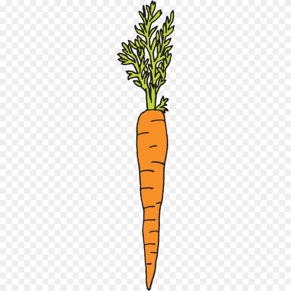 Julia Rothman Carrot, Food, Plant, Produce, Vegetable Free Png