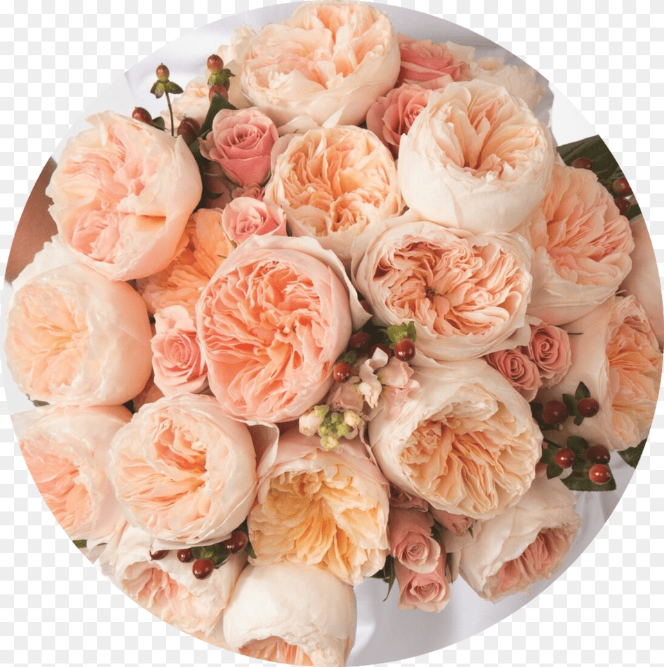 Juliet Bride Bouquet Preview Types Of Peach Color Flowers, Rose, Petal, Meal, Platter Free Transparent Png