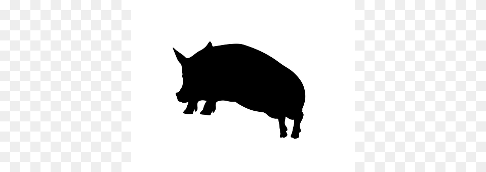 Jump Animal, Boar, Hog, Mammal Free Png Download