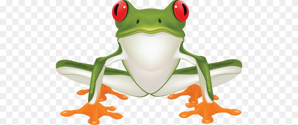 Jump Like A Frog, Amphibian, Animal, Wildlife, Tree Frog Png