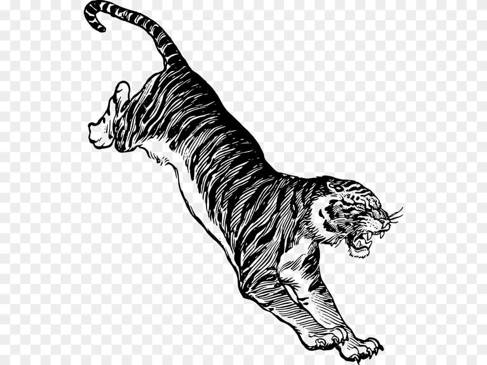 Jump Tiger, Gray Free Png Download