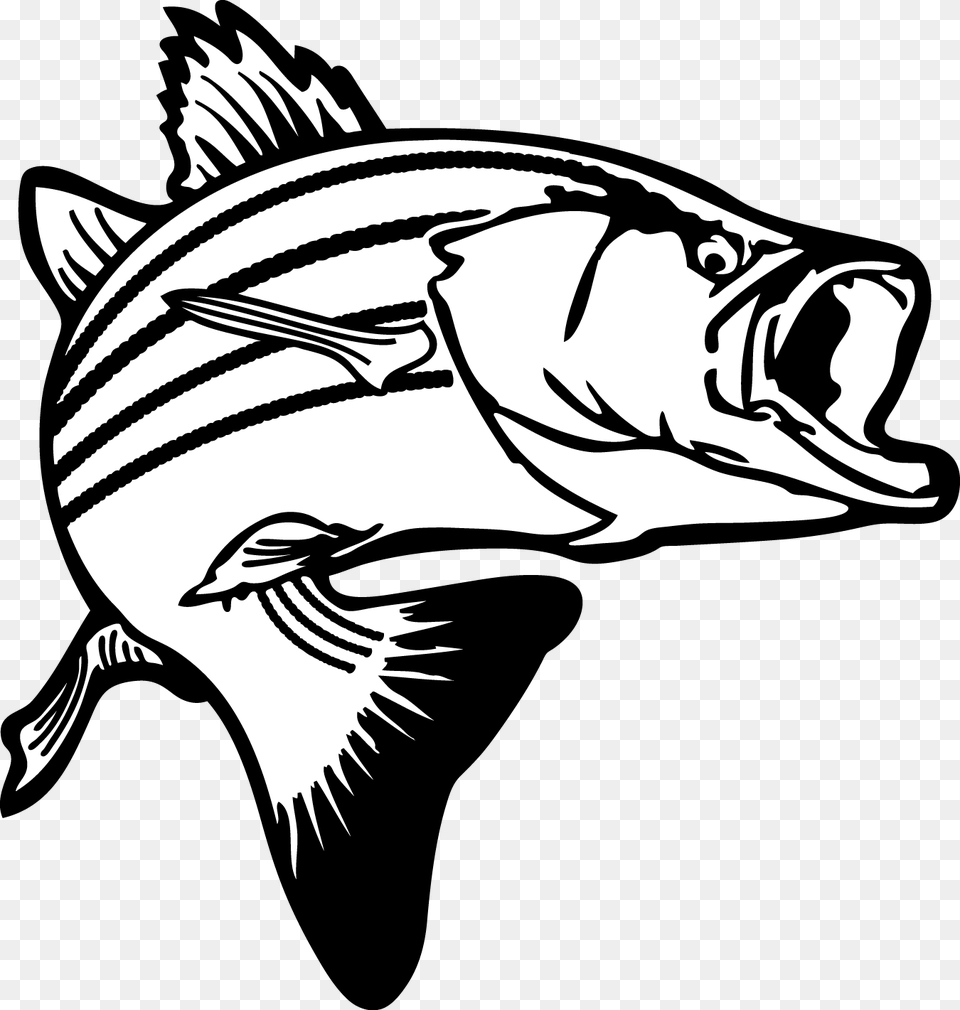 Jumping Bass Fish Clip Art, Baby, Person, Animal, Sea Life Png Image