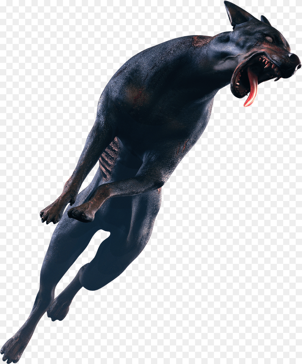 Jumping Dog Images Pngpix Panther Animal Transparent Zombie Dog, Mammal, Wildlife, Kangaroo, Pet Png