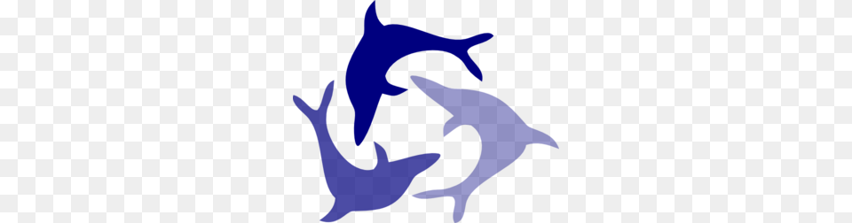 Jumping Dolphin Clip Art, Animal, Mammal, Sea Life, Baby Free Png