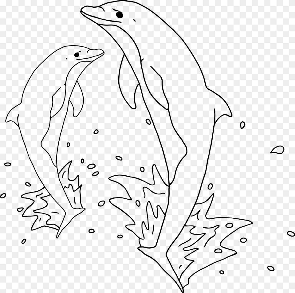 Jumping Dolphins Outline Jumping Dolphin Clipart Black And White, Gray Png