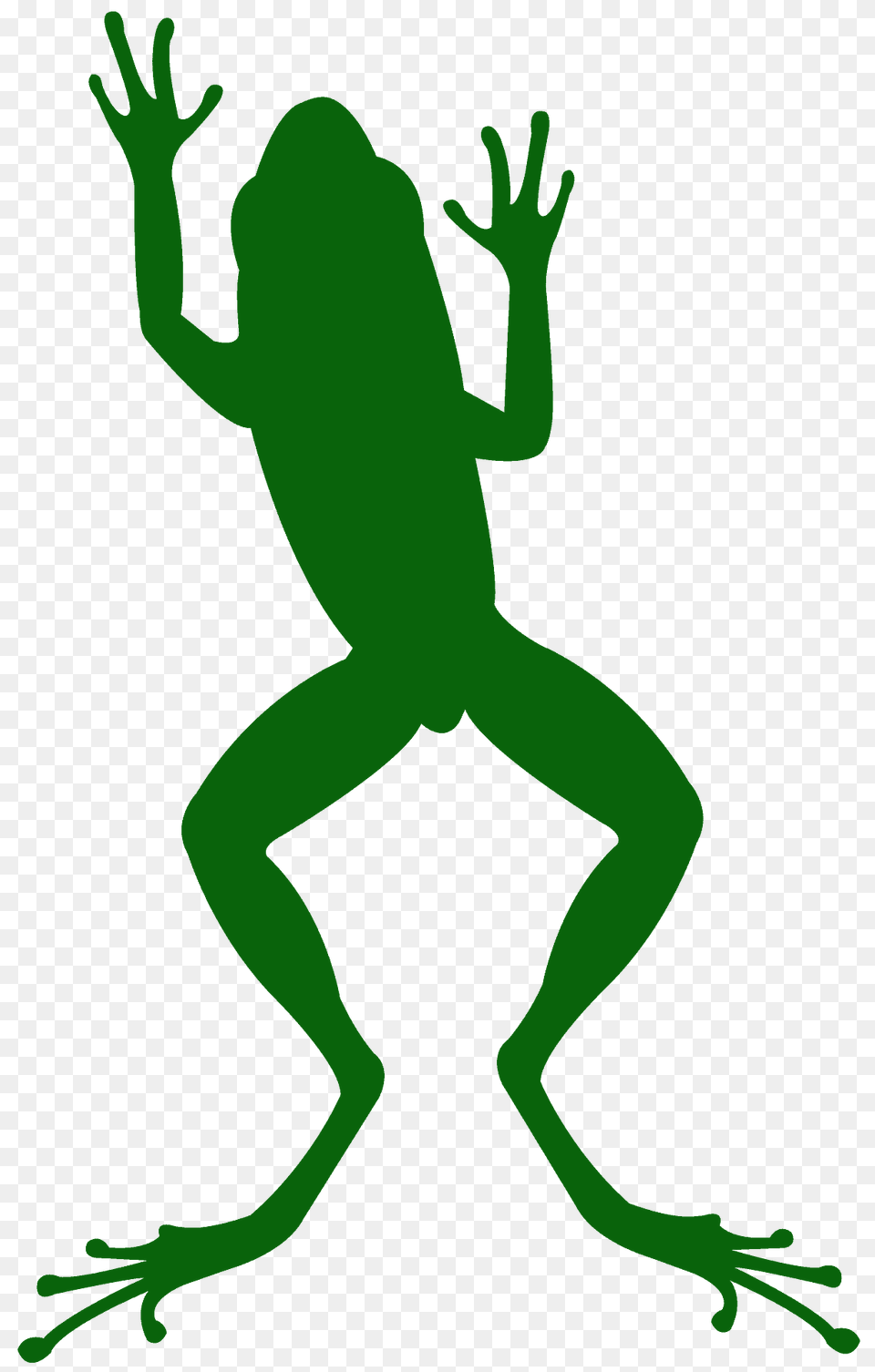 Jumping Frog Silhouette, Animal, Amphibian, Wildlife, Person Free Transparent Png