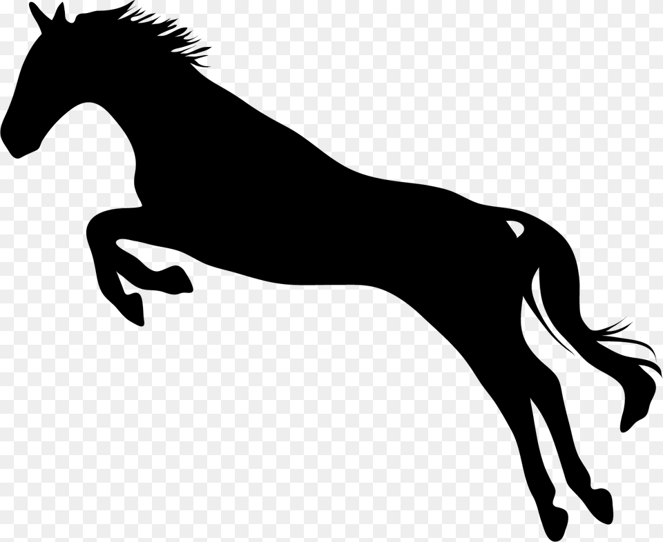 Jumping Horse Decal, Silhouette, Stencil, Animal, Mammal Png
