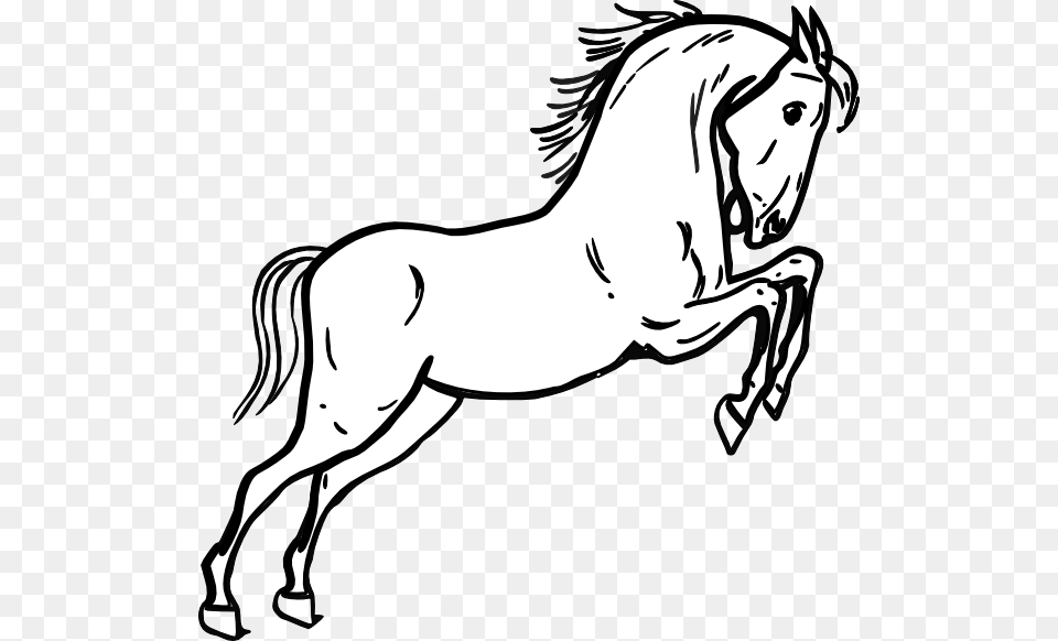 Jumping Horse Outline Svg Clip Arts Horse Outline, Person, Baby, Art, Drawing Png Image