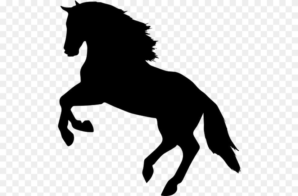 Jumping Horse Silhouette, Gray Free Png Download