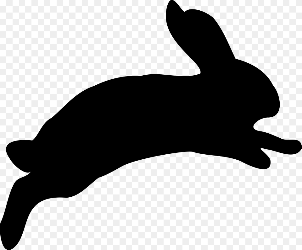 Jumping Rabbit, Gray Free Png