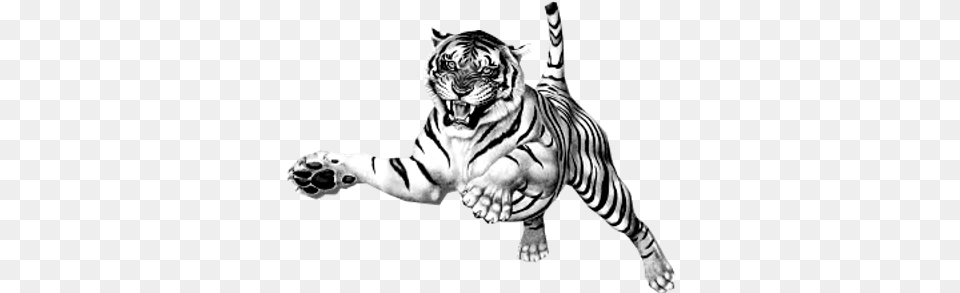 Jumping Tiger Clipart Tiger Picture Black And White Background, Animal, Mammal, Wildlife, Zebra Free Transparent Png