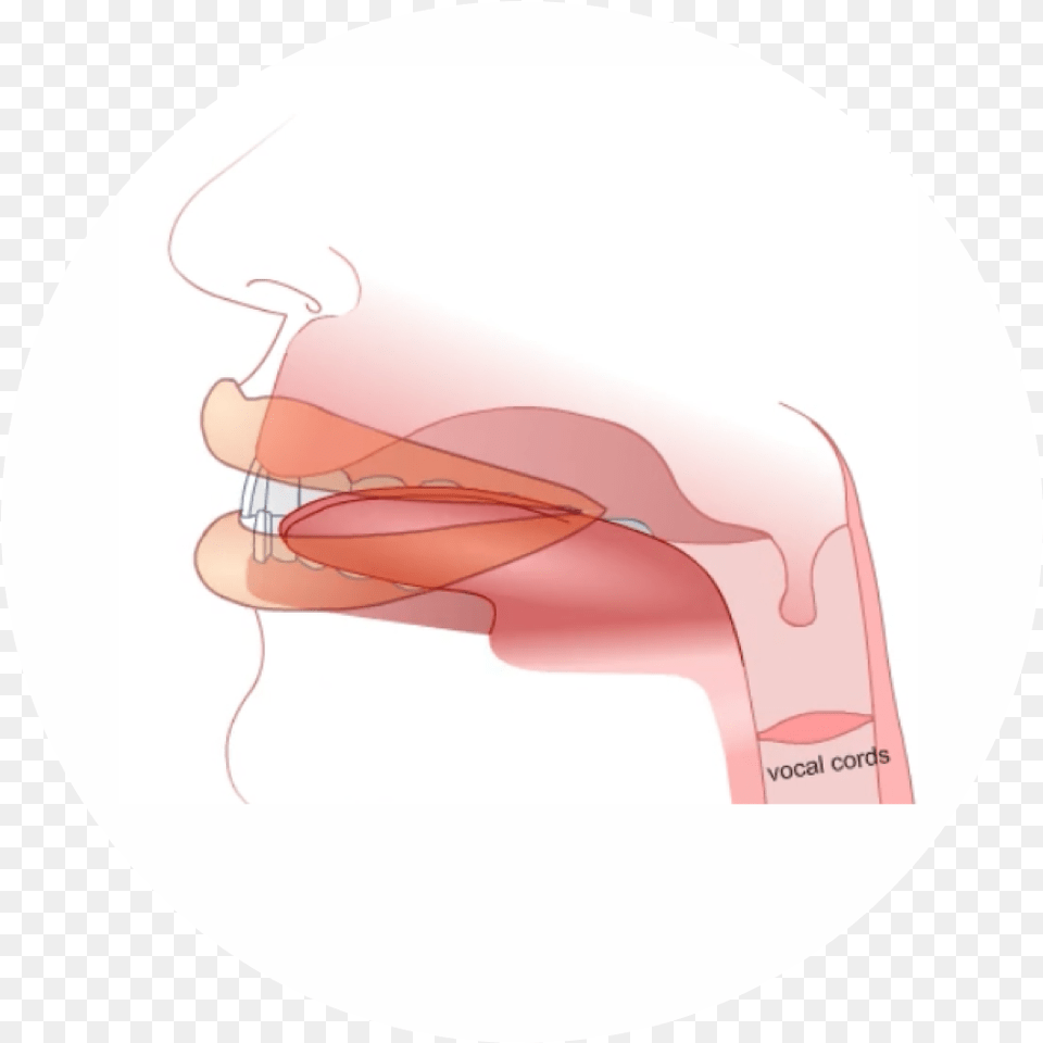 Juna Language, Face, Head, Person Free Transparent Png