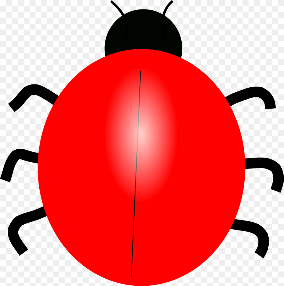 June Bug Clipart, Animal Png Image