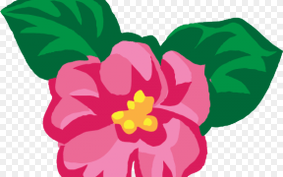 June Clip Art Summer Flowers Gardening Flower And Vegetables, Plant, Anemone, Hibiscus, Petal Free Png Download