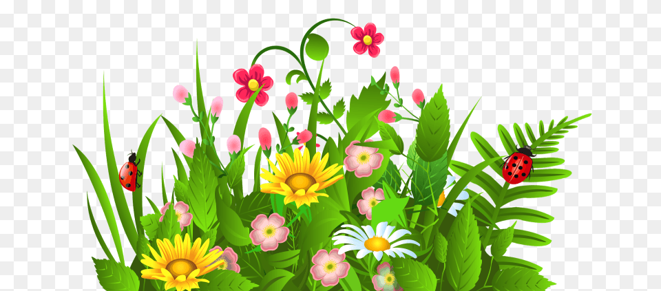 June Flowers Clip Art, Plant, Pattern, Graphics, Flower Free Png Download