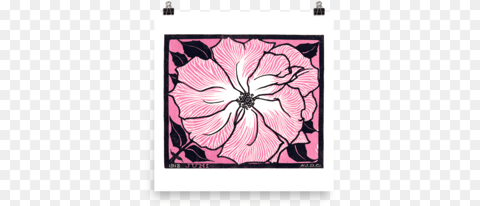 June Pink Black Amp White Flower Design 1918 Enhanced Julie De Graag, Art, Floral Design, Graphics, Home Decor Free Transparent Png