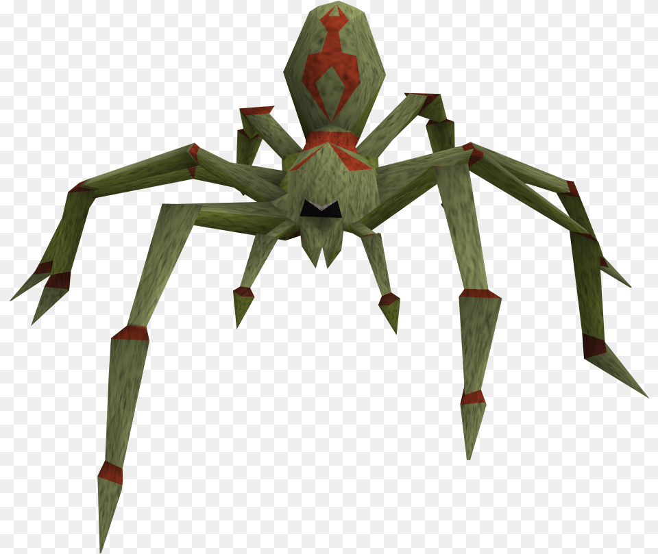 Jungle, Animal, Invertebrate, Spider Free Transparent Png