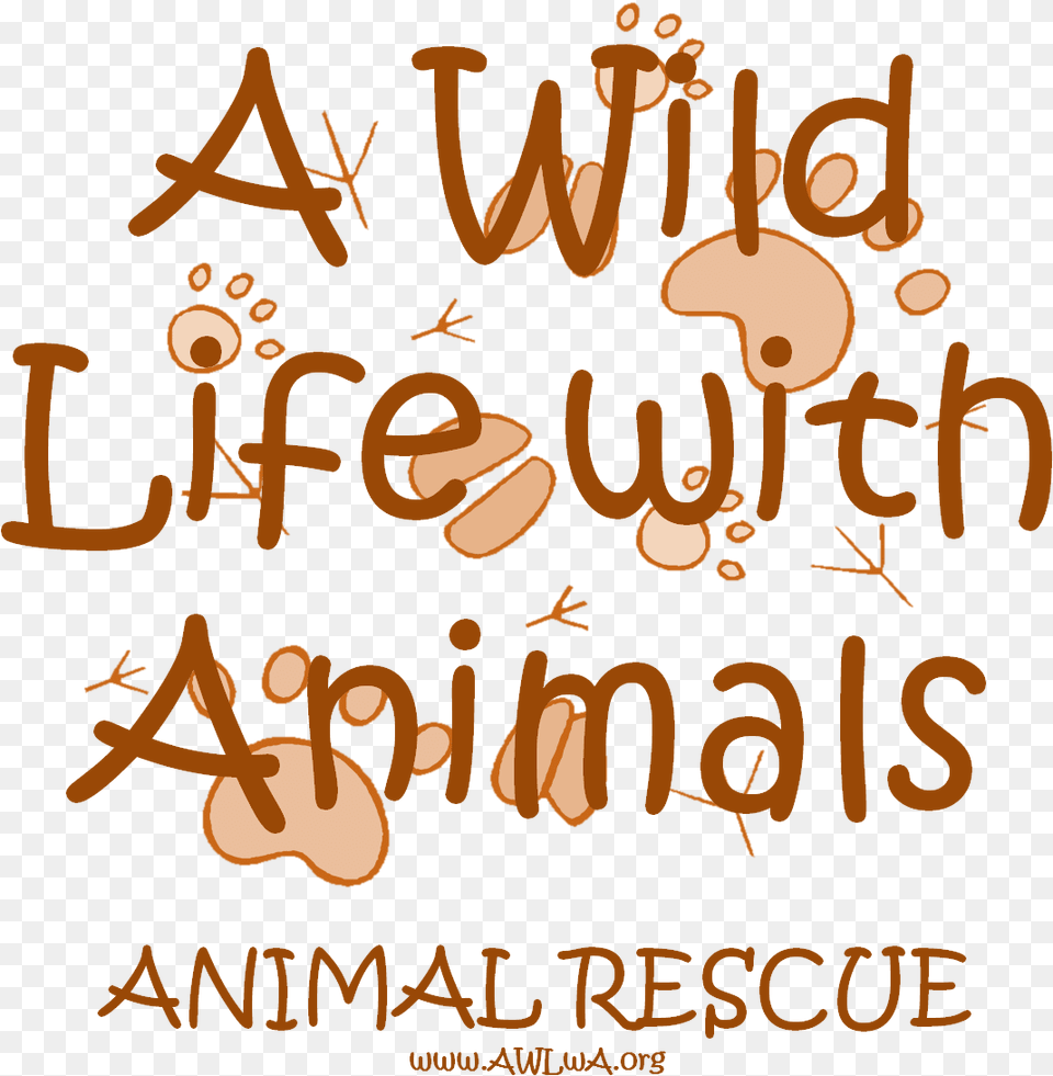 Jungle Animal Name Tags, Text, Advertisement, Poster, Handwriting Png Image