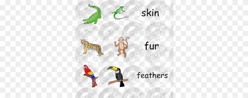 Jungle Animals Picture For Classroom Therapy Use Great Day Clip Art, Animal, Mammal, Tiger, Wildlife Png