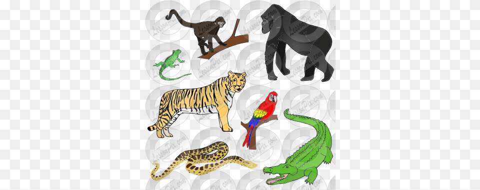 Jungle Animals Picture For Classroom Therapy Use Great Illustration, Animal, Mammal, Tiger, Wildlife Png Image