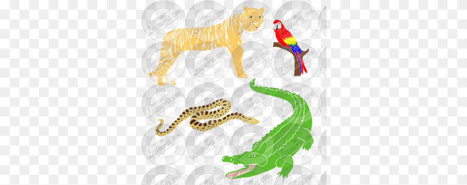 Jungle Animals Stencil For Classroom Therapy Use Great Illustration, Animal, Reptile, Snake Free Png Download