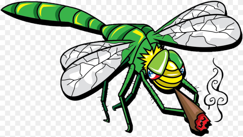Jungle Blunts Blunts, Animal, Bee, Insect, Invertebrate Png