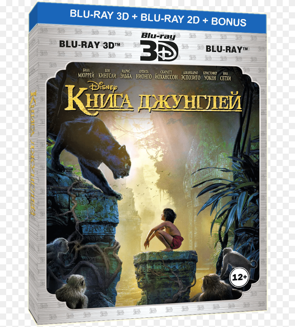Jungle Book 3d Blu Ray, Animal, Bear, Mammal, Wildlife Free Transparent Png