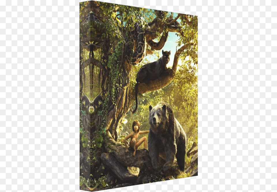 Jungle Book Canvas Jungle Book 2016 Square, Outdoors, Animal, Bear, Wildlife Png Image