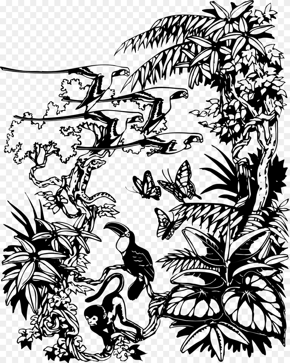 Jungle Border Download Jungle Drawing, Art, Pattern, Graphics, Floral Design Free Transparent Png