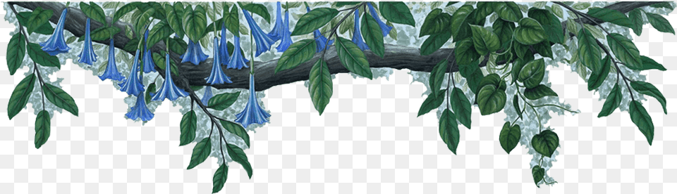 Jungle Border File Blue Flowers Border, Plant, Vegetation, Leaf, Outdoors Free Png Download