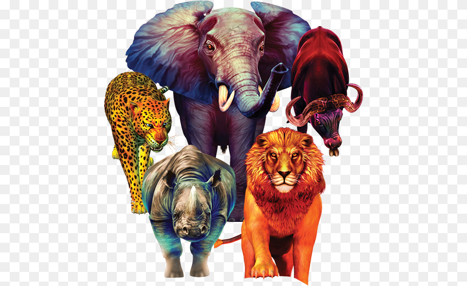 Jungle Cash Big African Big 5, Animal, Mammal, Tiger, Wildlife Free Transparent Png