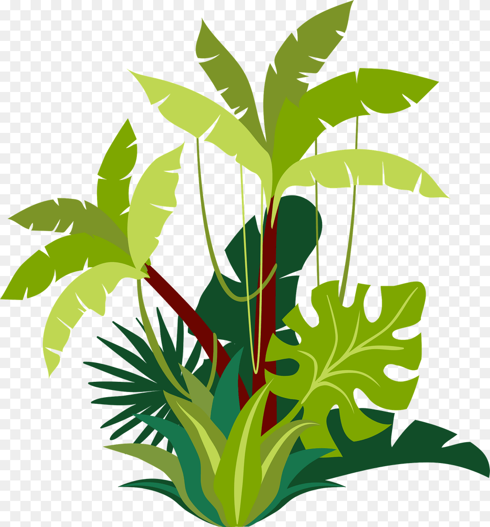 Jungle Clipart, Leaf, Plant, Vegetation, Green Free Png Download