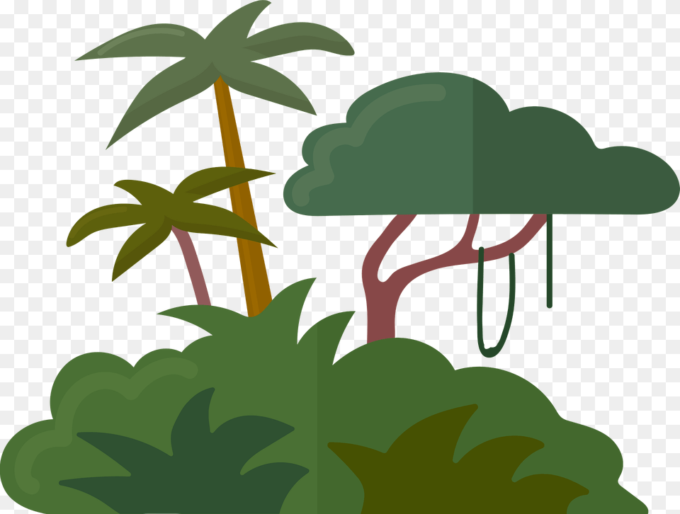 Jungle Clipart, Outdoors, Rainforest, Plant, Palm Tree Free Png Download