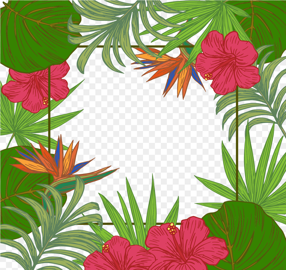 Jungle Clipart Boarder Hawaiian Leaves Border, Flower, Plant, Art, Floral Design Png Image