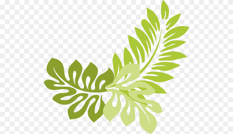Jungle Corner Border Clip Art At Clker Hibiscus Clip Art, Floral Design, Graphics, Herbal, Herbs Png Image