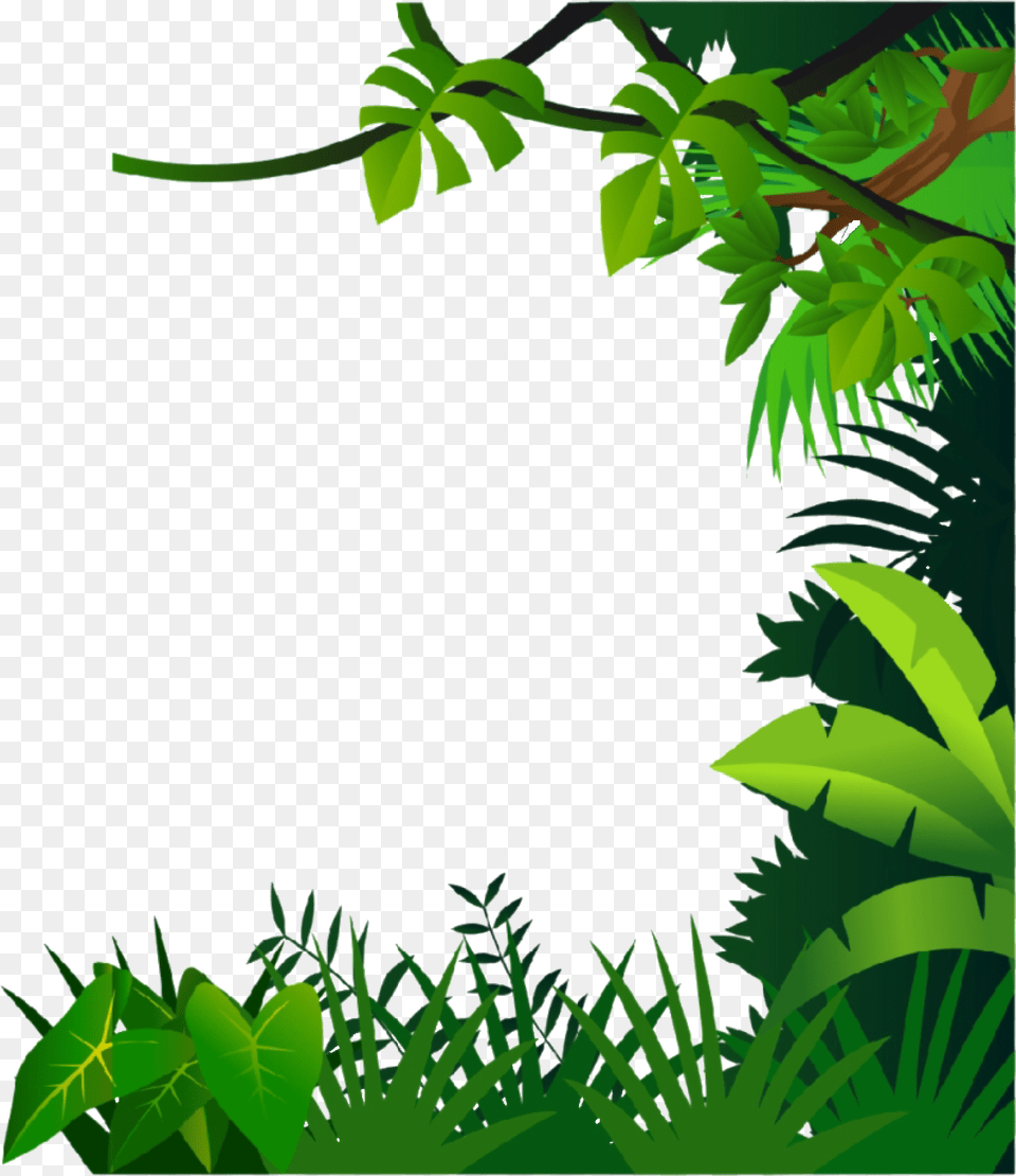 Jungle Frame Clipart, Green, Tree, Rainforest, Plant Free Transparent Png