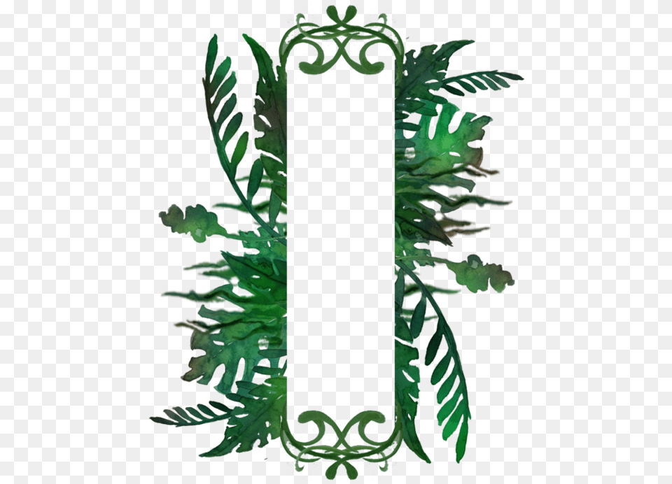 Jungle Frame Plant Frame, Green, Leaf Free Png