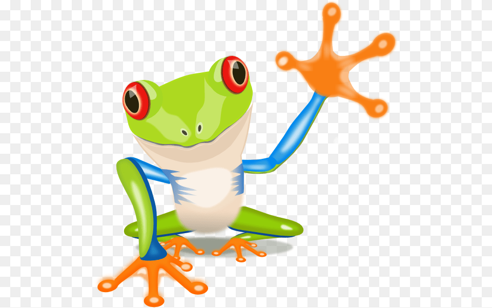 Jungle Frog Clipart Tree Frog Clipart, Amphibian, Animal, Wildlife, Tree Frog Free Transparent Png
