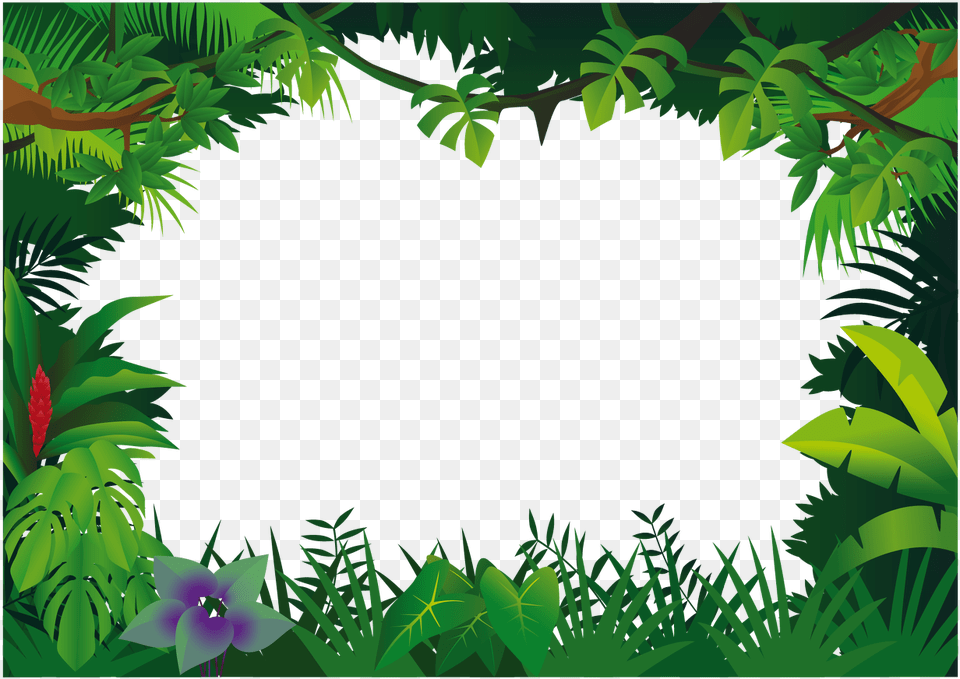 Jungle Jungle Frame Clipart, Outdoors, Rainforest, Plant, Vegetation Free Png