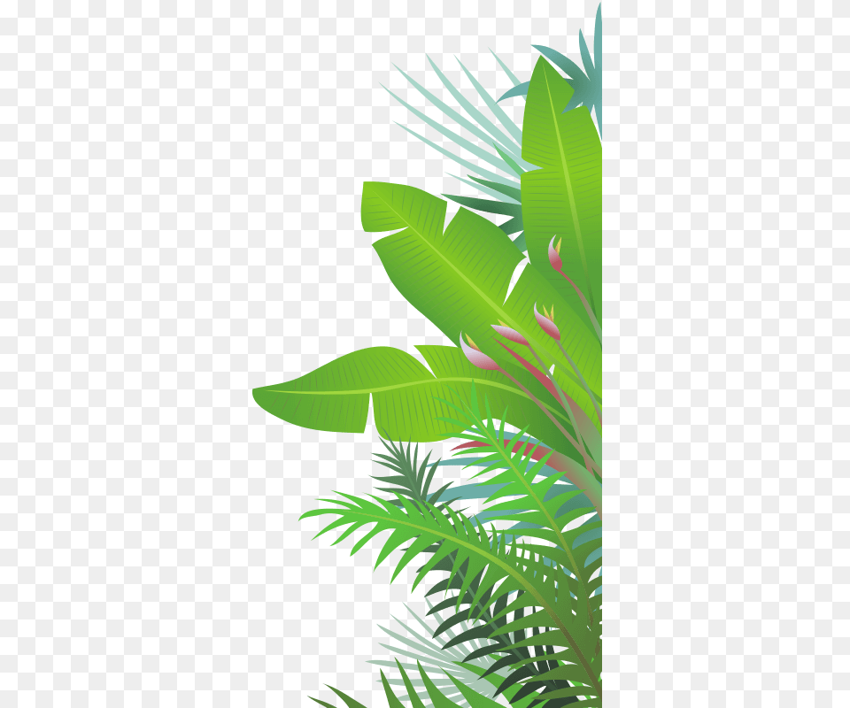 Jungle Leaf, Vegetation, Plant, Green, Graphics Free Transparent Png