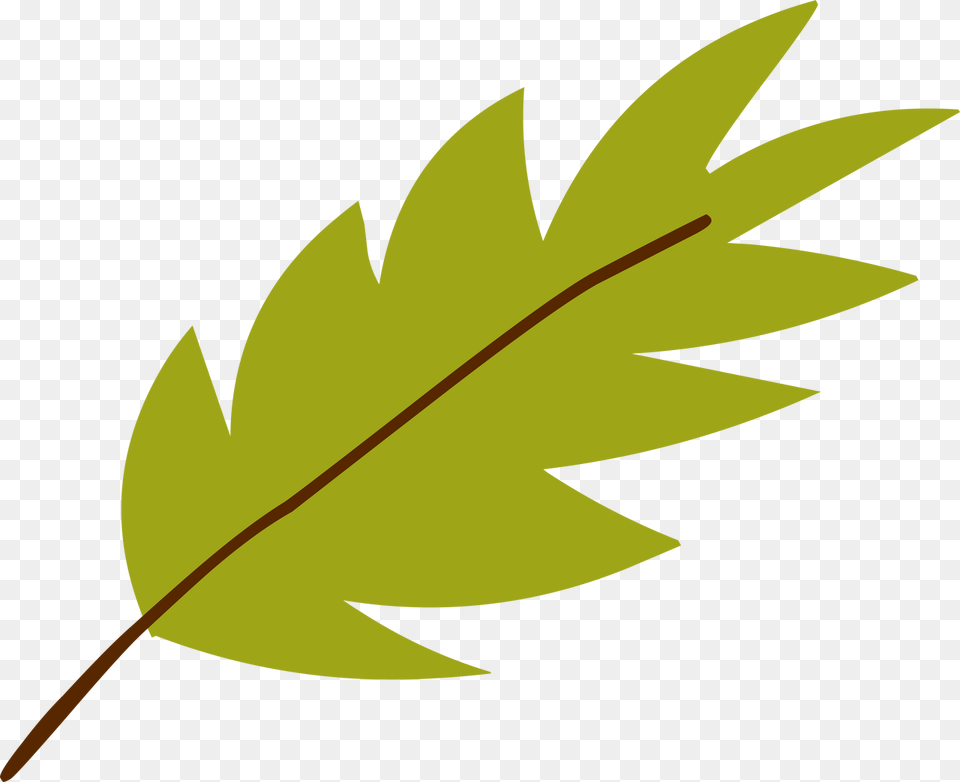 Jungle Leaf, Plant, Animal, Fish, Sea Life Free Transparent Png
