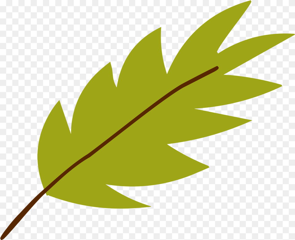 Jungle Leaf Svg Cut File Clip Art, Plant, Animal, Fish, Sea Life Png Image